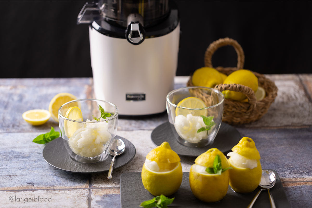 Lemon sorbet – Kuvings Mongolia